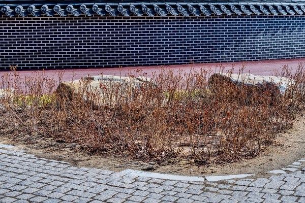 Plants and boulders beside brick sidewalk with brick wall in background in South Korea