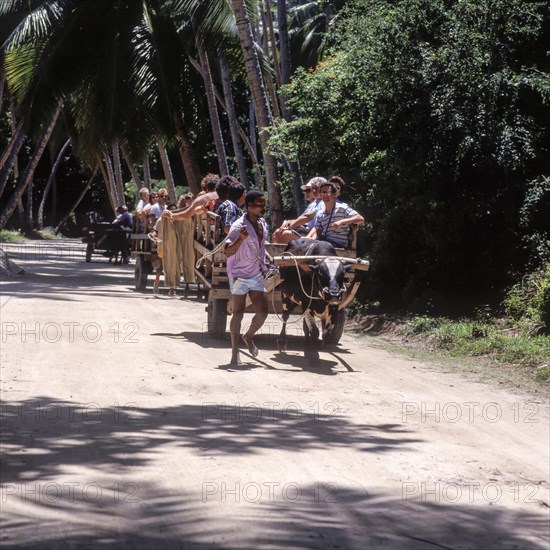 Seychelles, La Digue, means of transport, oxcart, Africa