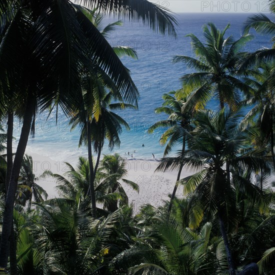 Seychelles, Fregate, clear blue water palm trees and white sandy beach Anse Victorin, Africa