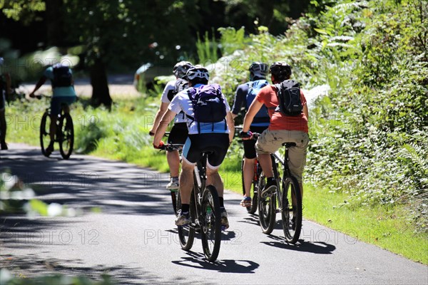 Group of mountain bikers in the Palatinate Forest