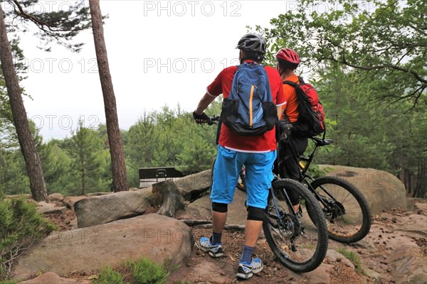 Mountain bikers enjoy the view in the Palatinate Forest above Neustadt an der Weinstrasse