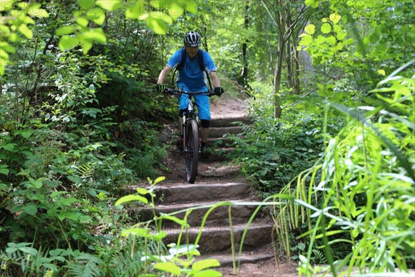 Mountain biker on a trail in the Palatinate Forest, Germany, Europe