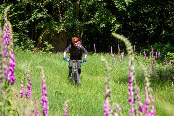 Mountain bikers on tour in the Pfaelzerwald mountain bike park near Dahn