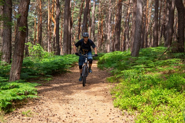Mountain bikers on a beautiful trail in the summery Palatinate Forest near the Kalmit near Maikammer