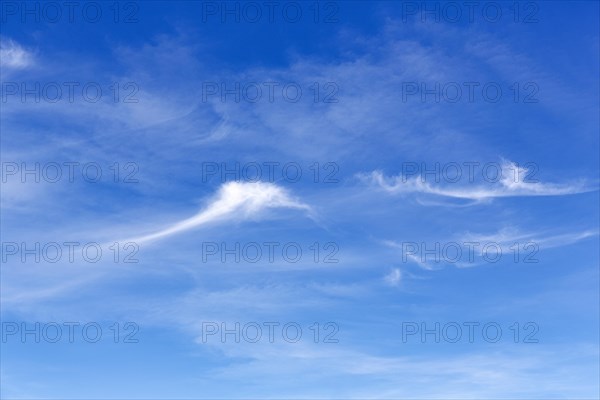 Feather clouds, cirrus in the blue sky, full format, Cadiz, Spain, Europe