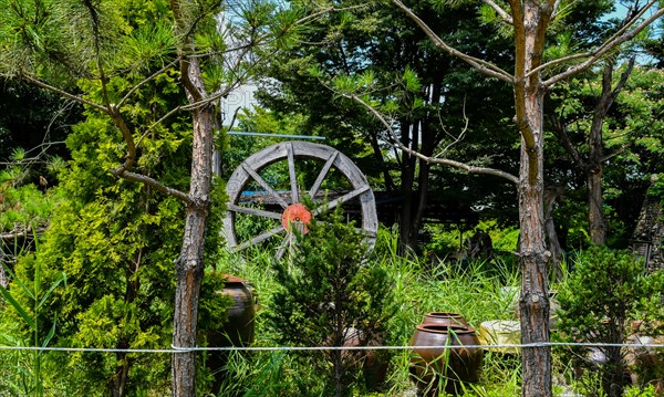 Wooden waterwheel in beautiful garden framed by two thin trees in South Korea