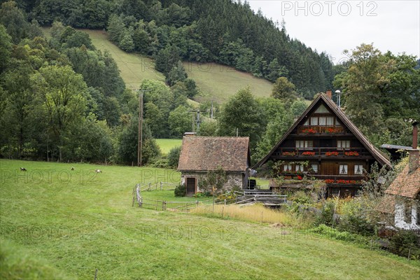 Oil mill, Simonswald, Baden-Wuerttemberg, Black Forest, Germany, Europe