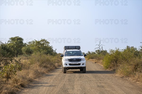 Toyota Hilux off-road vehicle with roof tent on a dirt road, African savannah, Kruger National Park, South Africa, Africa