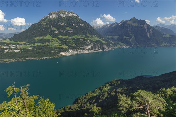 View from Seelisberg over Lake Lucerne to Fronalpstock and Bristenstock, Canton Uri, Switzerland, Seelisberg, Lake Lucerne, Uri, Switzerland, Europe