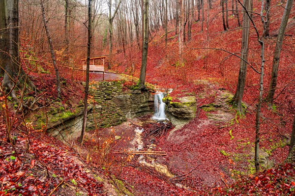 The waterfall in the Rautal forest at Burschenplatz in winter, Jena, Thuringia, Germany, Europe