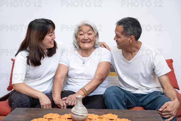 Adult children, with smiles on their faces, embrace their joyful elderly mother as she sits on a sofa. Adult children warmly embrace their elderly mother, who looks directly at the camera with a joyful smile. Japanese Family
