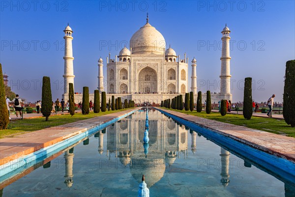 The sublime Taj Mahal is reflected in a long pool of water under a blue sky, Taj Mahal, Agra, India, Asia