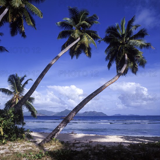 Anse Servere beach, La Digue, Seychelles, Africa