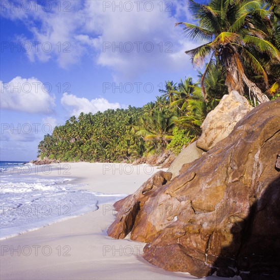 Seychelles, Fregate, blue water and palm trees on the white sandy beach of Anse Victorin, Africa