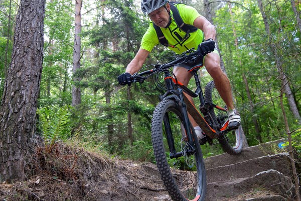 Mountain biker riding steps on a single trail near Weinbiet in the Palatinate Forest, Germany, Europe