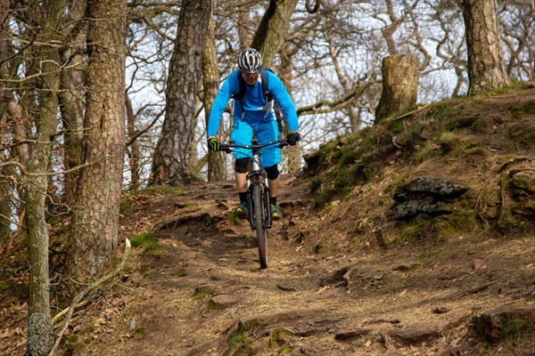 Palatinate Forest: Mountain bikers downhill in the forest