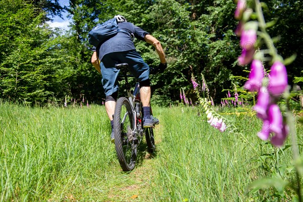 Mountain bikers out and about in the Pfaelzerwald mountain bike park near Dahn