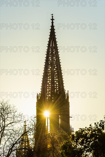 Tower of Freiburg Minster, sunset, Freiburg im Breisgau, Black Forest, Baden-Wuerttemberg, Germany, Europe