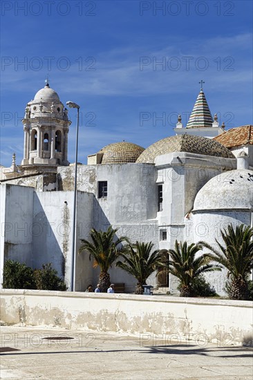View of the dome and steeples of Cadiz Cathedral, Cathedral of the Holy Cross above the sea, Cadiz, Andalusia, Spain, Europe