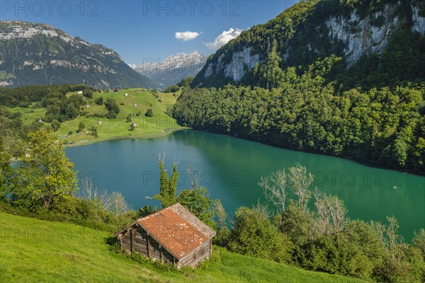 Mountain lake Seeli, Canton Uri, Switzerland, Seeli, Lake Lucerne, Uri, Switzerland, Europe