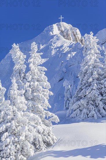 Winter landscape and snow-covered trees in front of a mountain peak, winter, view of Tegelberg, Ammergau Alps, Upper Bavaria, Bavaria, Germany, Europe