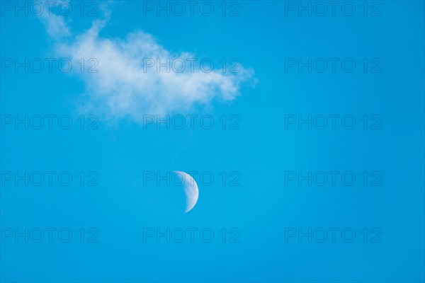 The crescent of the waxing moon in the second quarter shines during the day in a clear blue sky with a small white cloud, fairytale-like, mystical, Lower Saxony, Germany, Europe