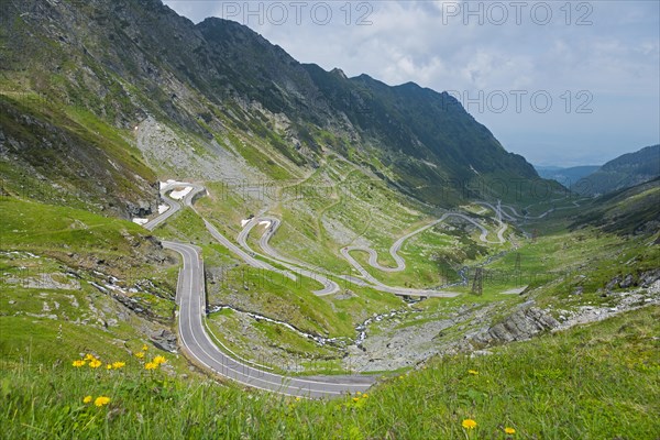 A winding mountain road meanders through a green landscape on a cloudy summer day, Mountain Road, Transfogarasan High Road, Transfagarasan, TransfagaraÈ™an, FagaraÈ™ Mountains, Fagaras, Transylvania, Transylvania, Transylvania, Ardeal, Transilvania, Carpathians, Romania, Europe