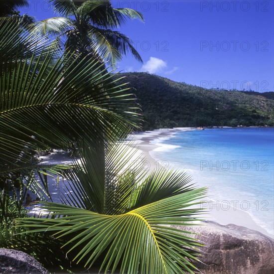 Seychelles, Praslin, Anse Lazio beach, Africa