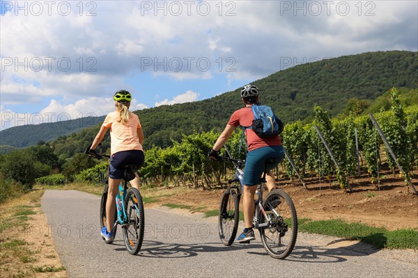 Symbolic image: Young couple on a bike tour in the vineyards, here in the Palatinate near Neustadt an der Weinstrasse