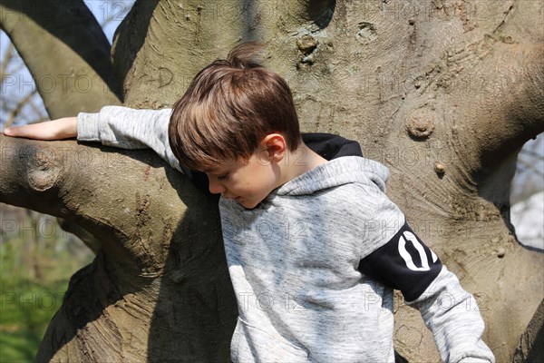 Seven-year-old boy climbs a tree