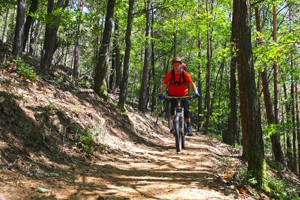 Mountain bikers downhill in the forest (Edenkobener Tal, Palatinate Forest, Mobel released)