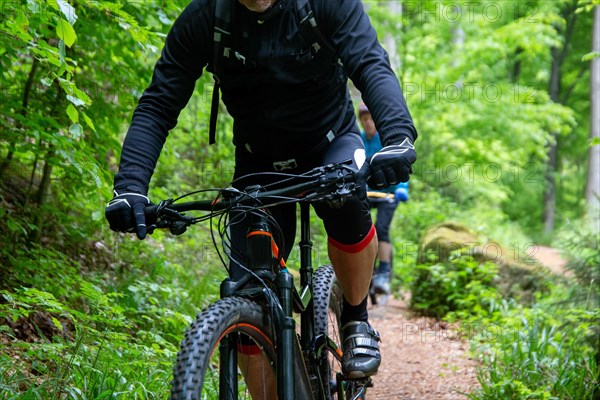 Mountain biker on tour in the central Palatinate Forest near Lambertskreuz