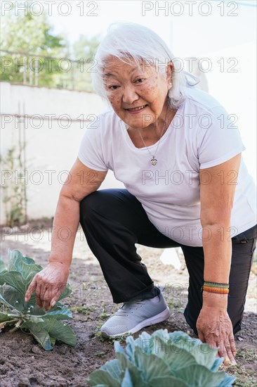 Asian retired elderly woman gardening in back garden. Smiling Japanese elderly woman gardening. Vertical portrait