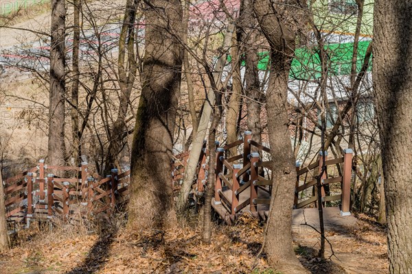 Top view of wooden staircase up side of mountain among grove of leafless deciduous trees