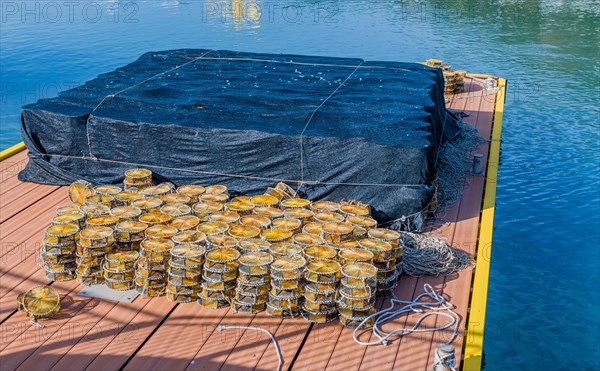 Round lobster traps stacked on floating dock at ocean port in Yeosu, South Korea, Asia