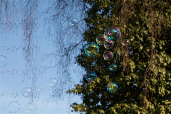 Soap bubbles of several coloured films of soapy water next to each other in front of a blue sky and trees