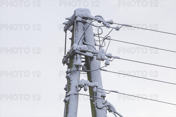 Old, snow-covered telegraph pole in winter, Germany, Europe