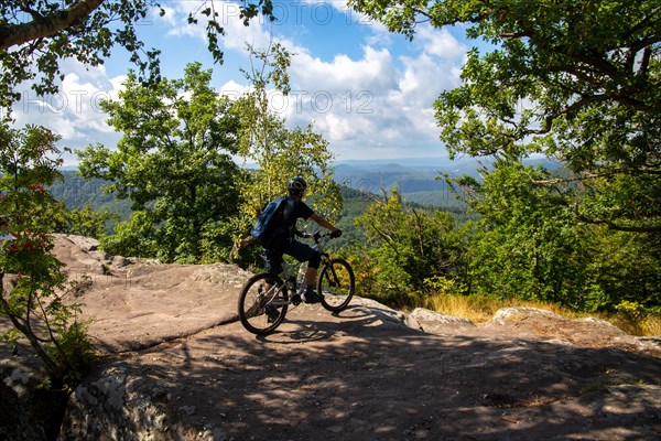 Mountain bikers at Drachenfels in the central Palatinate Forest