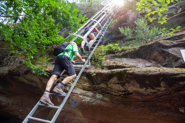 Hikers on the ladder to the Huehnerstein . The Huehnerstein is a sandstone rock in the Palatinate Forest and part of the Rimbachsteig trail