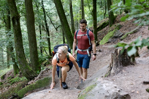 Symbolic image: Young couple hiking in the Palatinate Forest, here on the fifth stage of the Palatinate Wine Trail between Neustadt an der Weinstrasse and St. Martin
