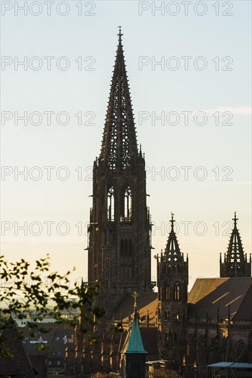 Tower of Freiburg Minster, sunset, Freiburg im Breisgau, Black Forest, Baden-Wuerttemberg, Germany, Europe