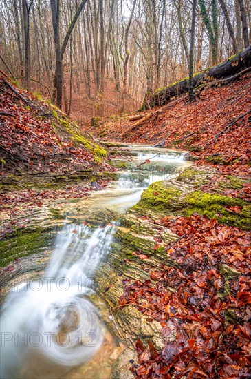 Waterfall in the Rautal forest in Jena in winter, Jena, Thuringia, Germany, Europe