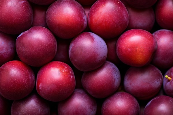 Many ripe plum fruits. KI generiert, generiert AI generated