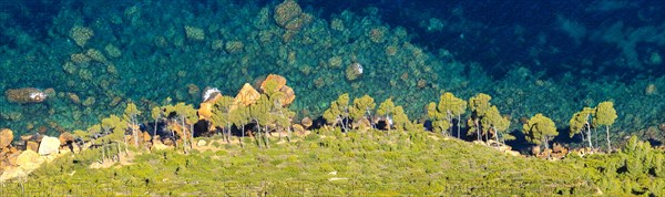 View from Cap Canaille to the green pines and the blue water of the bay, Provence, France, Europe