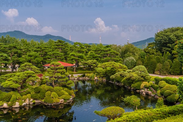 Koi swimming in pond at beautifully manicured park with electrical towers on mountain top in background in South Korea