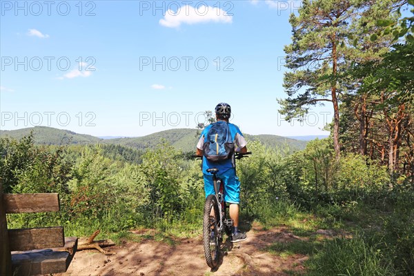 Symbolic image: Mountain biker enjoying the view of the Palatinate Forest near the Kalmit
