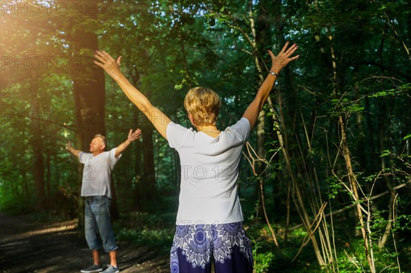 Group forest bathing (Shinrin Yoku), nature therapy from Japan