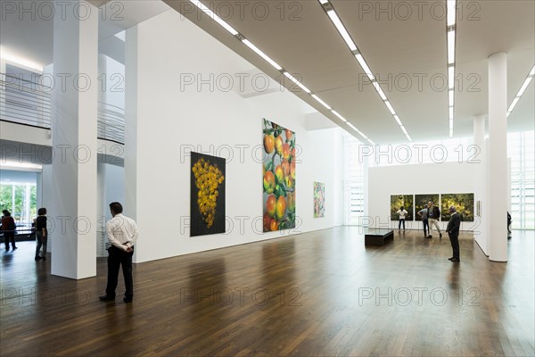 Interior view, Museum Frieder Burda, artworks by Karin Kneffel, architect Richard Meier, Baden-Baden, Black Forest, Baden-Wuerttemberg, Germany, Europe