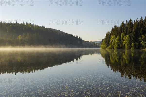Lake and morning fog, sunrise, Windgfaellweiher, Altglashuetten, Black Forest, Baden-Wuerttemberg, Germany, Europe