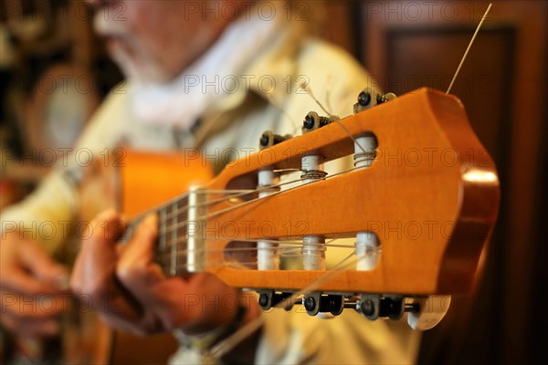 Guitar player, musician plays the guitar